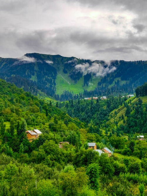 Gratis stockfoto met bergen, groene bomen, hemel