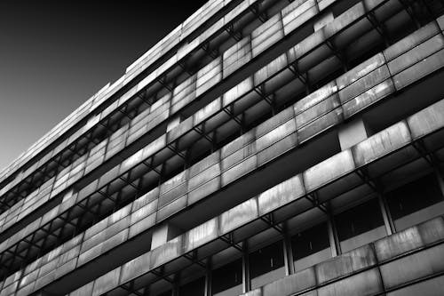 Grayscale Photo of a Building