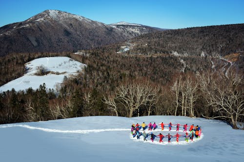 Children Playing on Snow Covered Ground Near Trees