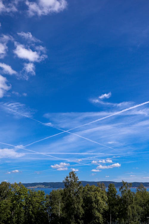 Free A Blue Sky over Green Trees Stock Photo