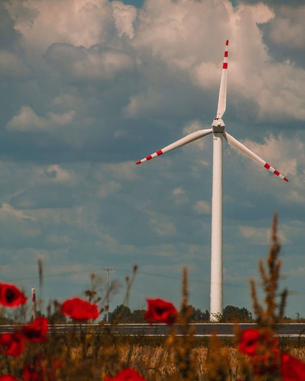 A Wind Engine