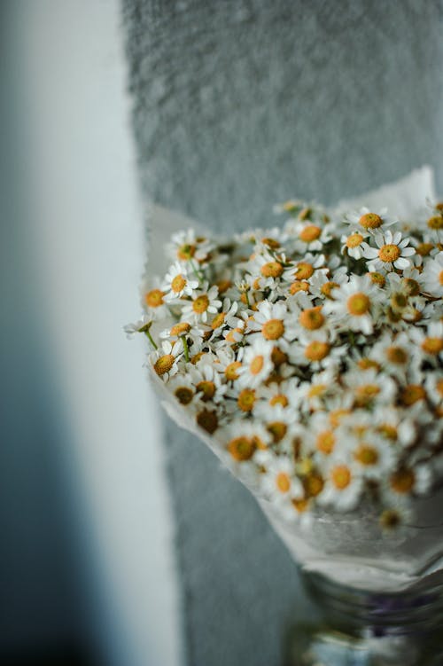 Bouquet of Chamomile Daisy Flowers