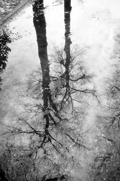 Black and White Photo of a Puddle 
