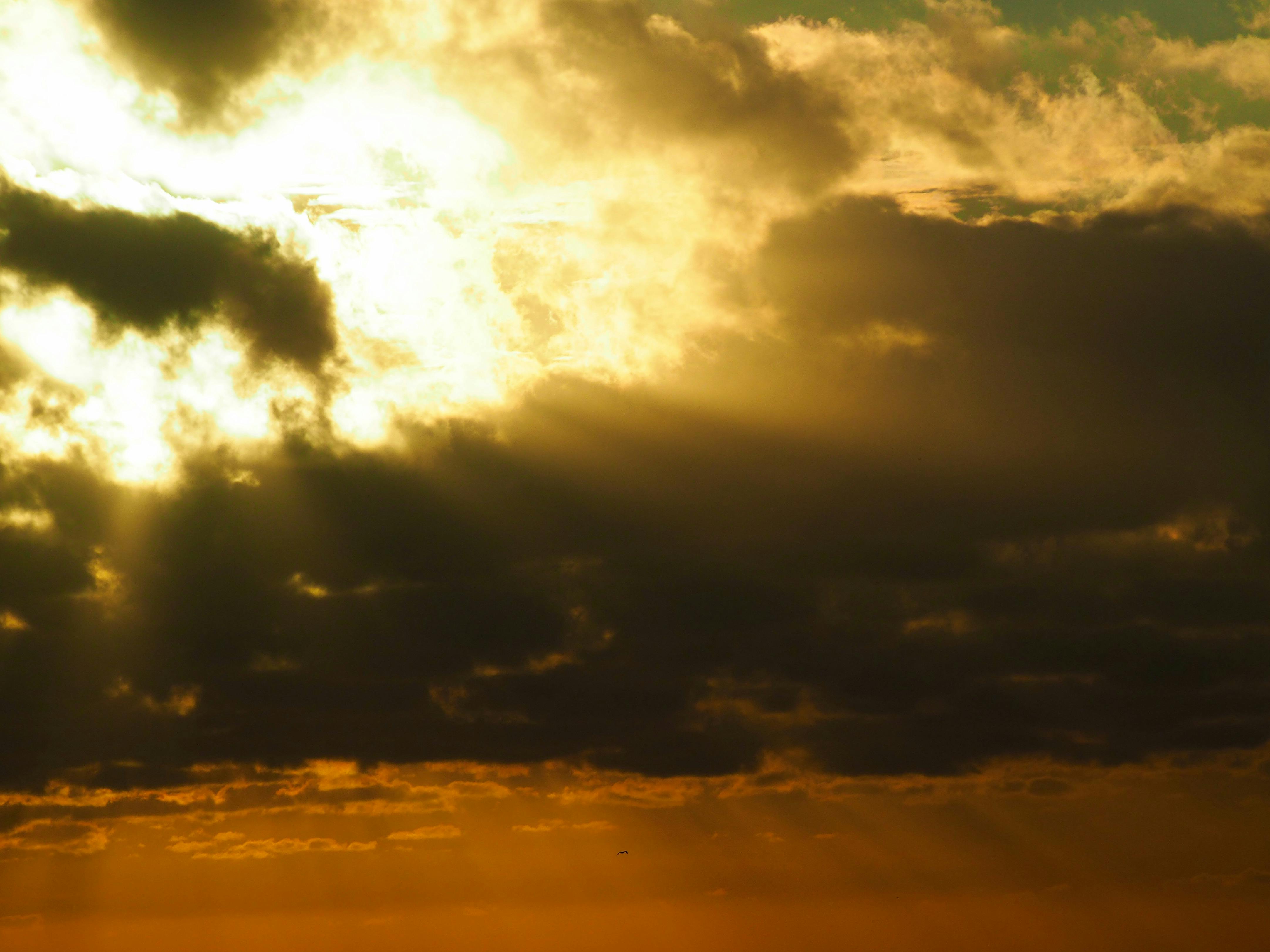 Free stock photo of clouds, dark clouds, evening sun