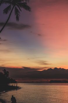 A picturesque beach sunset with dramatic clouds and palm trees, creating a serene silhouette scene.