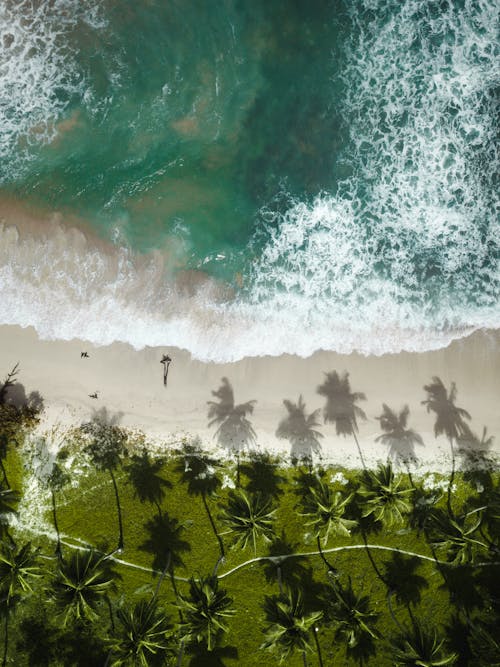 High Angle Shot of Beach With White Sand 