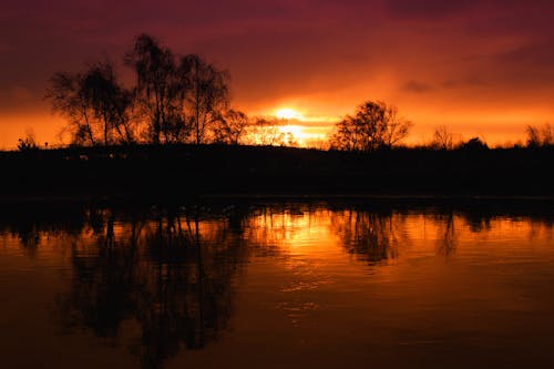 gratis Silhouet Van Bomen Bij Zonsondergang Landschapsfotografie Stockfoto