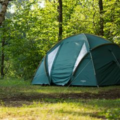 A dark green tent with pale side panels pitched in a leafy woodland
