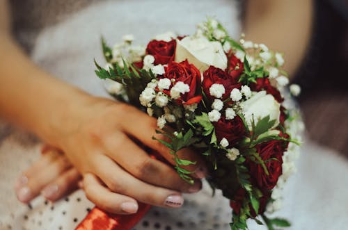 Kostnadsfri bild av babys andedräkt, blommor, bröllop