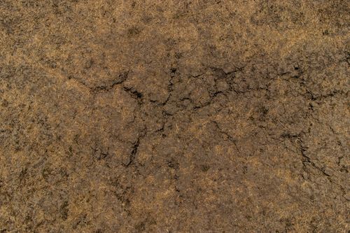 Free stock photo of brown, crack, earth Stock Photo
