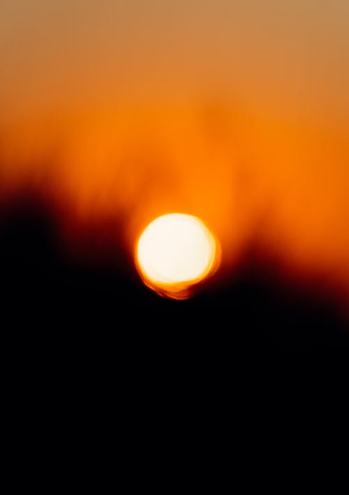 бесплатная Бесплатное стоковое фото с апельсин, вертикальный выстрел, закат Стоковое фото