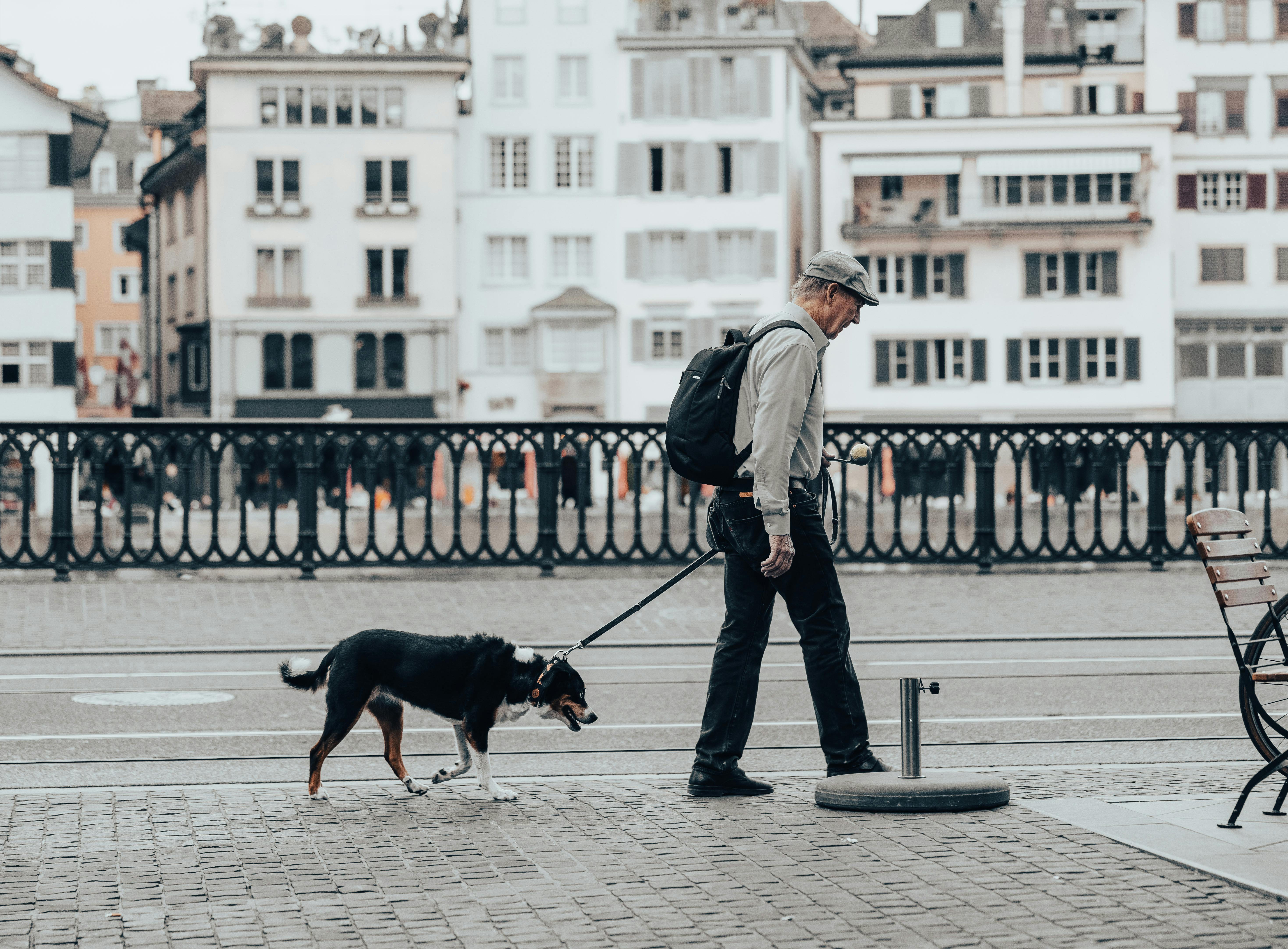 Man Walking with His Pet Dog