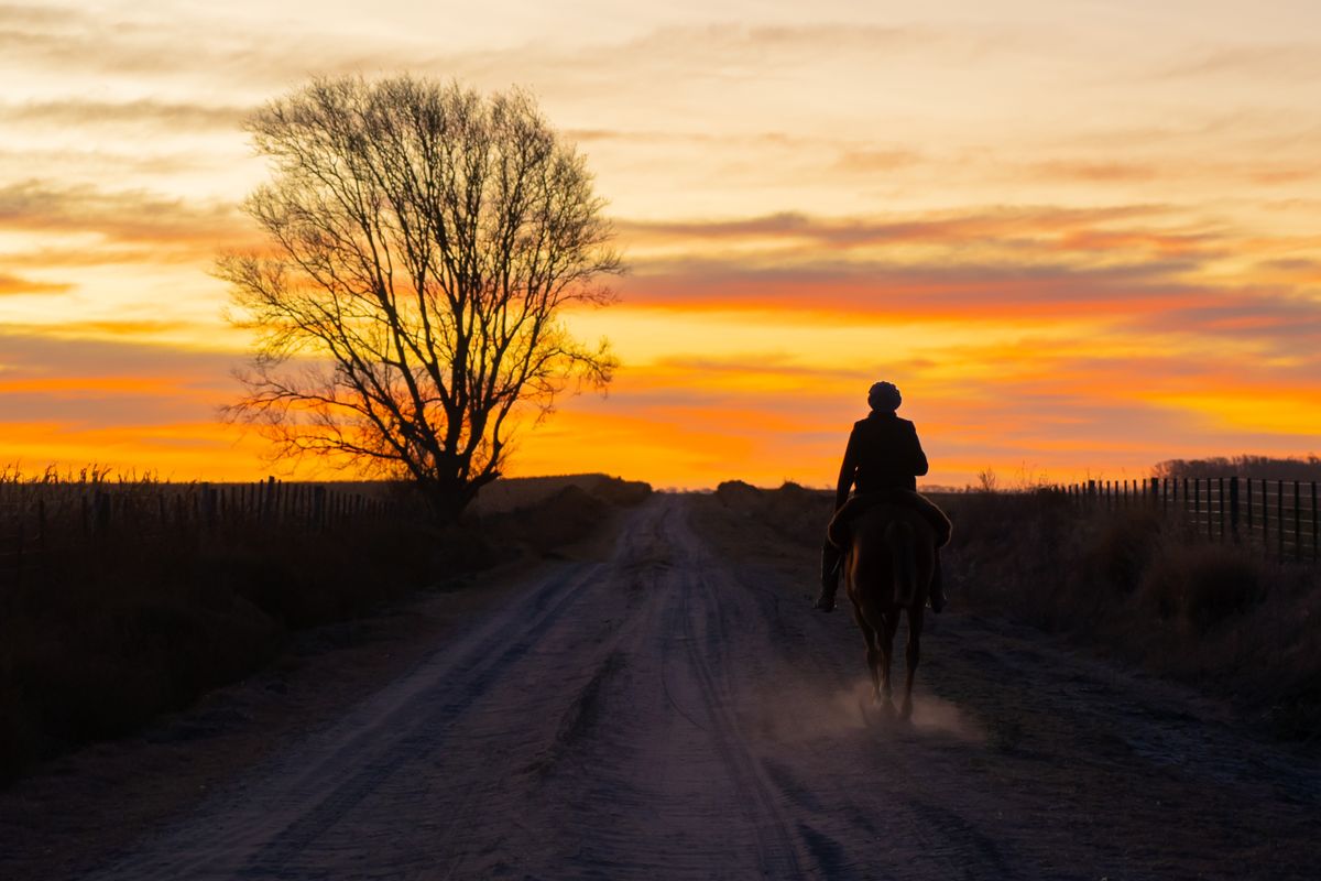 A gaucho on horseback crossing the Argentine pampas at sunset