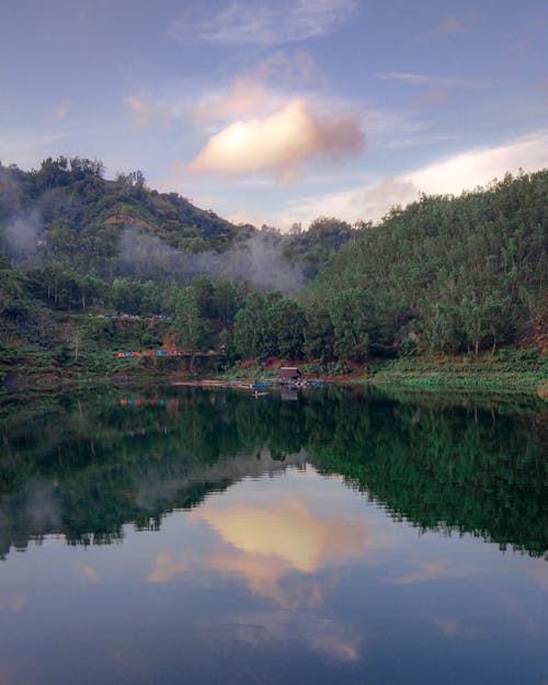 Green Trees Reflection on Water