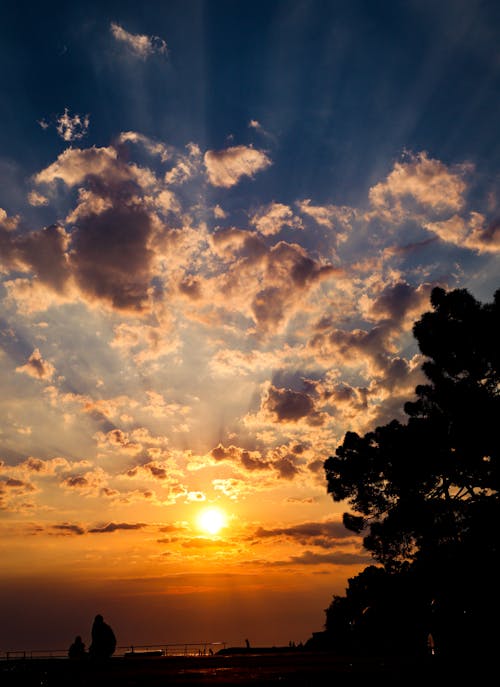 Silhouette of People and Trees During Golden Hour