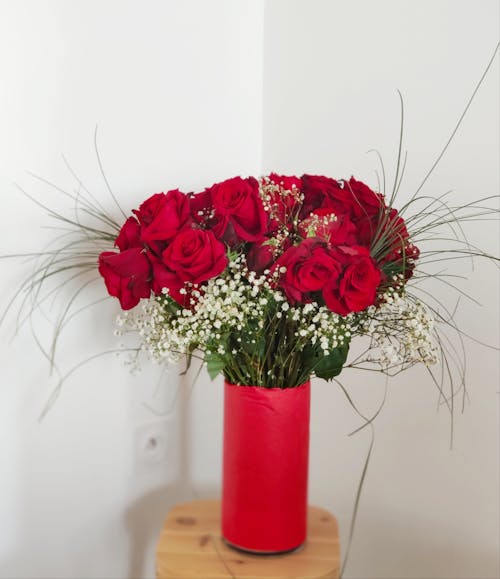 무료 꽃, 꽃병, 로사의 무료 스톡 사진