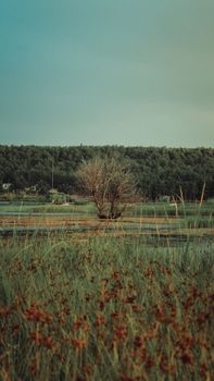 Image by Yunus Eren Tekneci