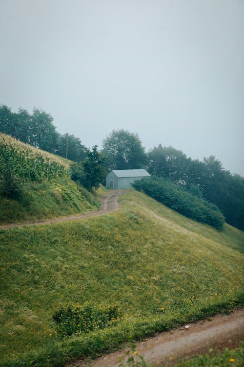 Countryside with a Farmhouse and a Field on a Hill