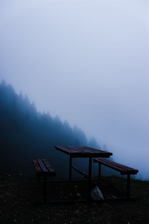Free Misty forest scene with a wooden picnic table in Kümbet, Giresun, Turkey. Stock Photo
