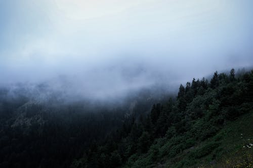 Gratis lagerfoto af bjerg, dis, forkølelse