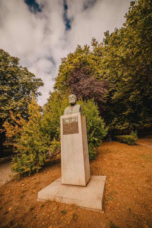 Darmowe zdjęcie z galerii z park, popiersie, posąg