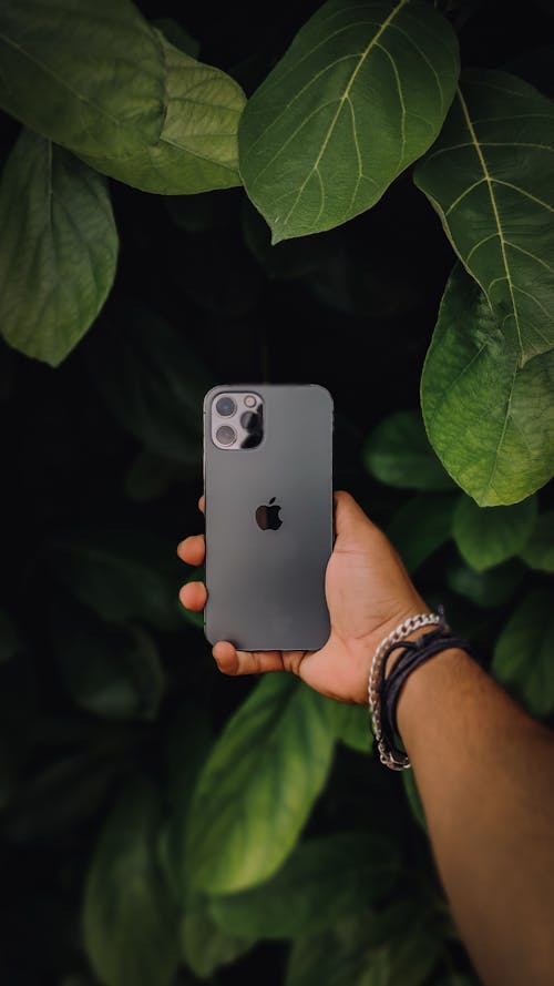 Free Person Holding an iPhone 11 Pro Max Stock Photo