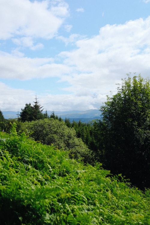 Free A peaceful landscape with vivid greenery and distant mountains under a partly cloudy sky. Stock Photo