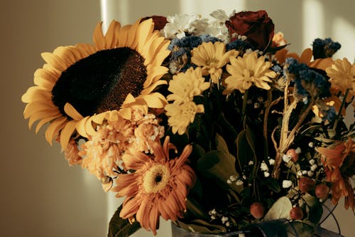 Foto d'estoc gratuïta de arranjament floral, Assortiment, flors