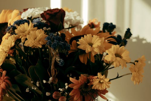 Fotos de stock gratuitas de arreglo floral, clasificado, de cerca