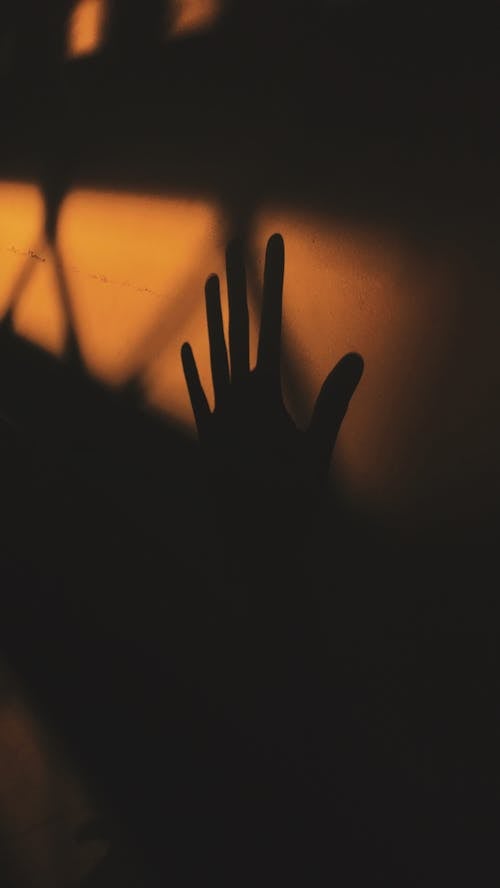 Shadow of a Hand on a Wall