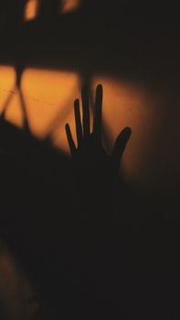 Shadow of a hand on a wall captured in warm sunset hues, creating a dramatic silhouette.