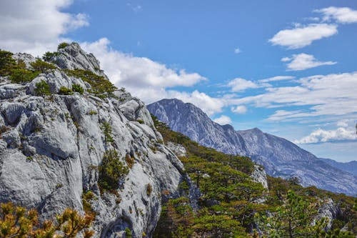 Gratis arkivbilde med landskap, natur, naturfotografi