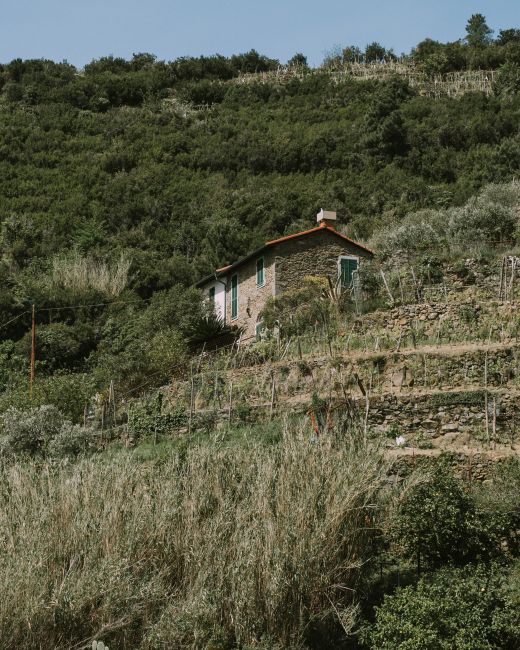 Charming stone house nestled in the verdant hills of Levanto, Italy.