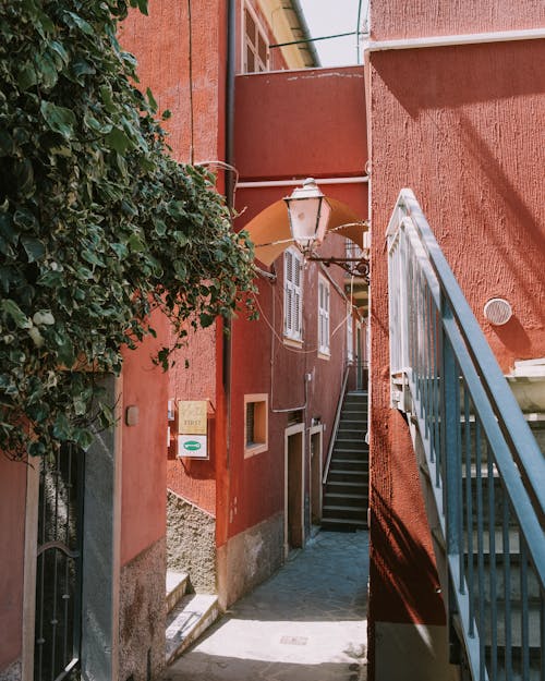 Narrow Alley between Red Buildings 