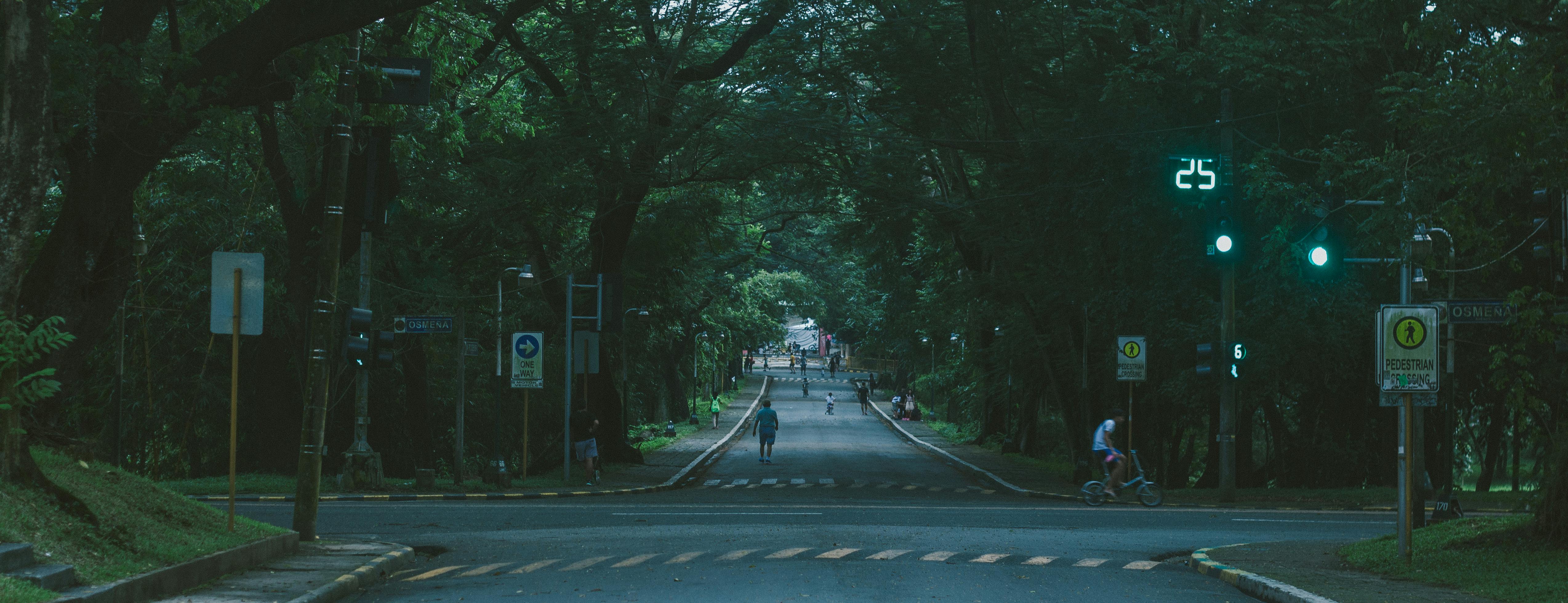 Free stock photo of diliman, street, trees