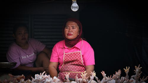 Foto d'estoc gratuïta de abundància, comercialitzar, dones