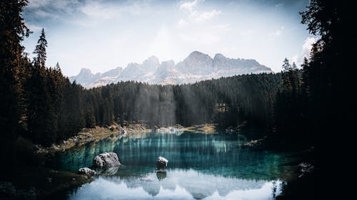 Základová fotografie zdarma na téma hory, idylický, jehličnatý