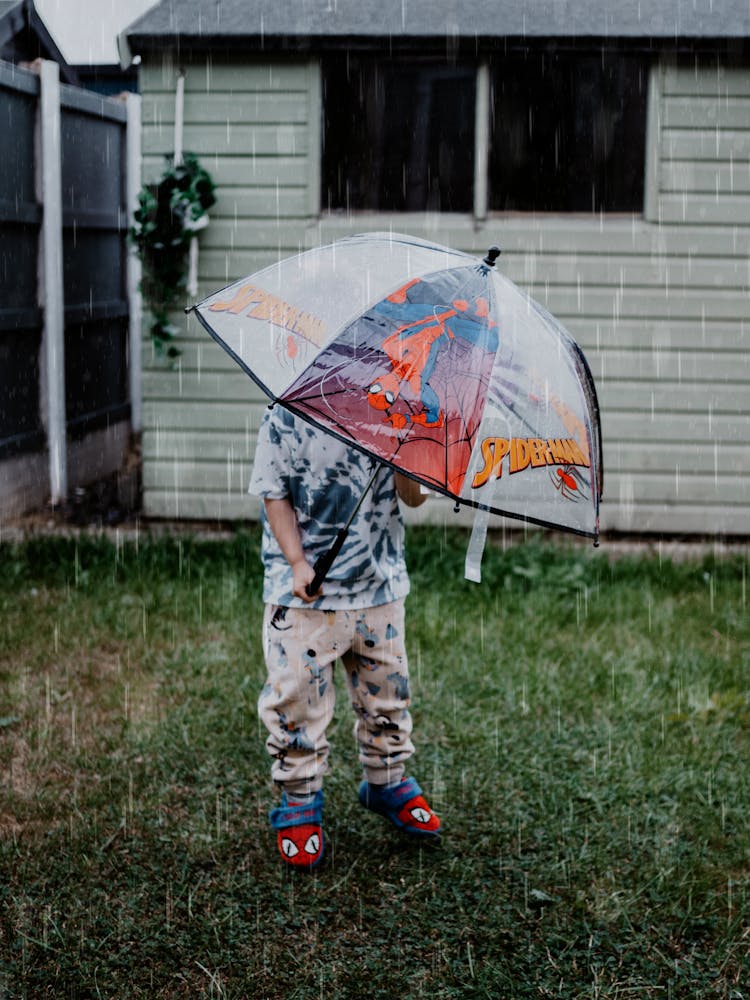 Boy With Umbrella In Yard