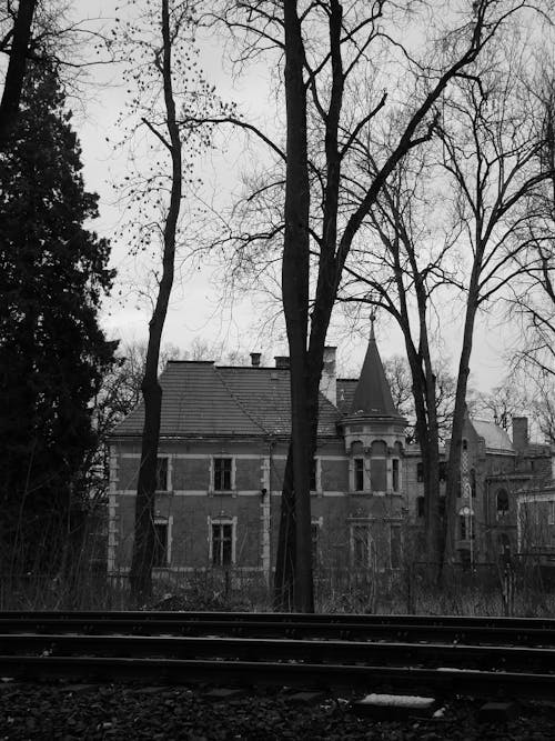 Grayscale Photo of Building Near Trees 