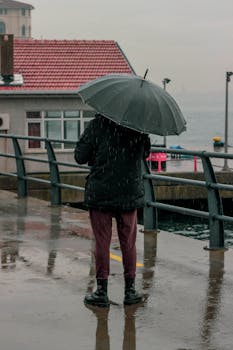 A person stands under an umbrella by the waterfront during a rainy day, reflecting serenity.