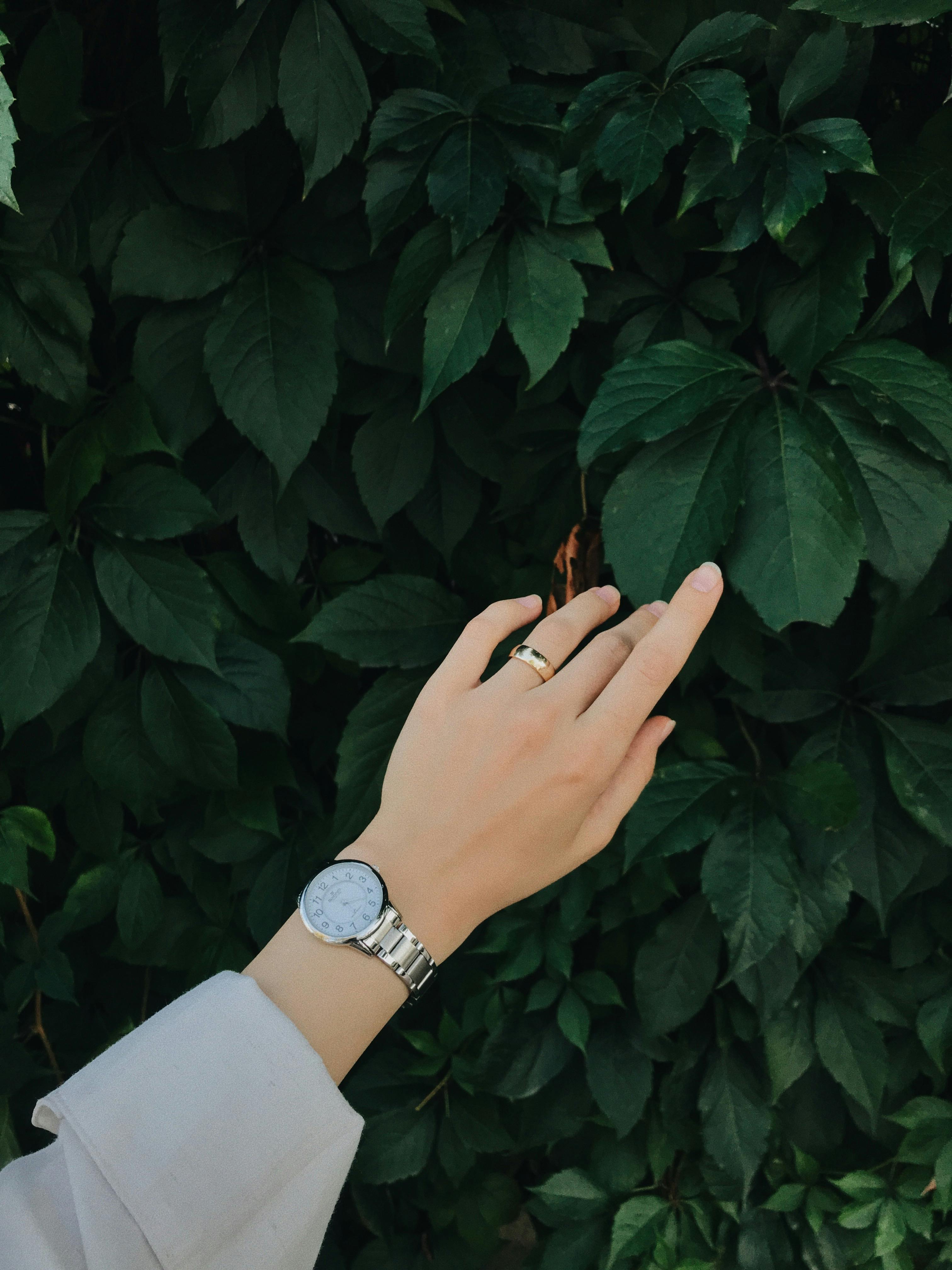 A woman's hand wearing a watch and ring touches vibrant green leaves. Elegant and natural.