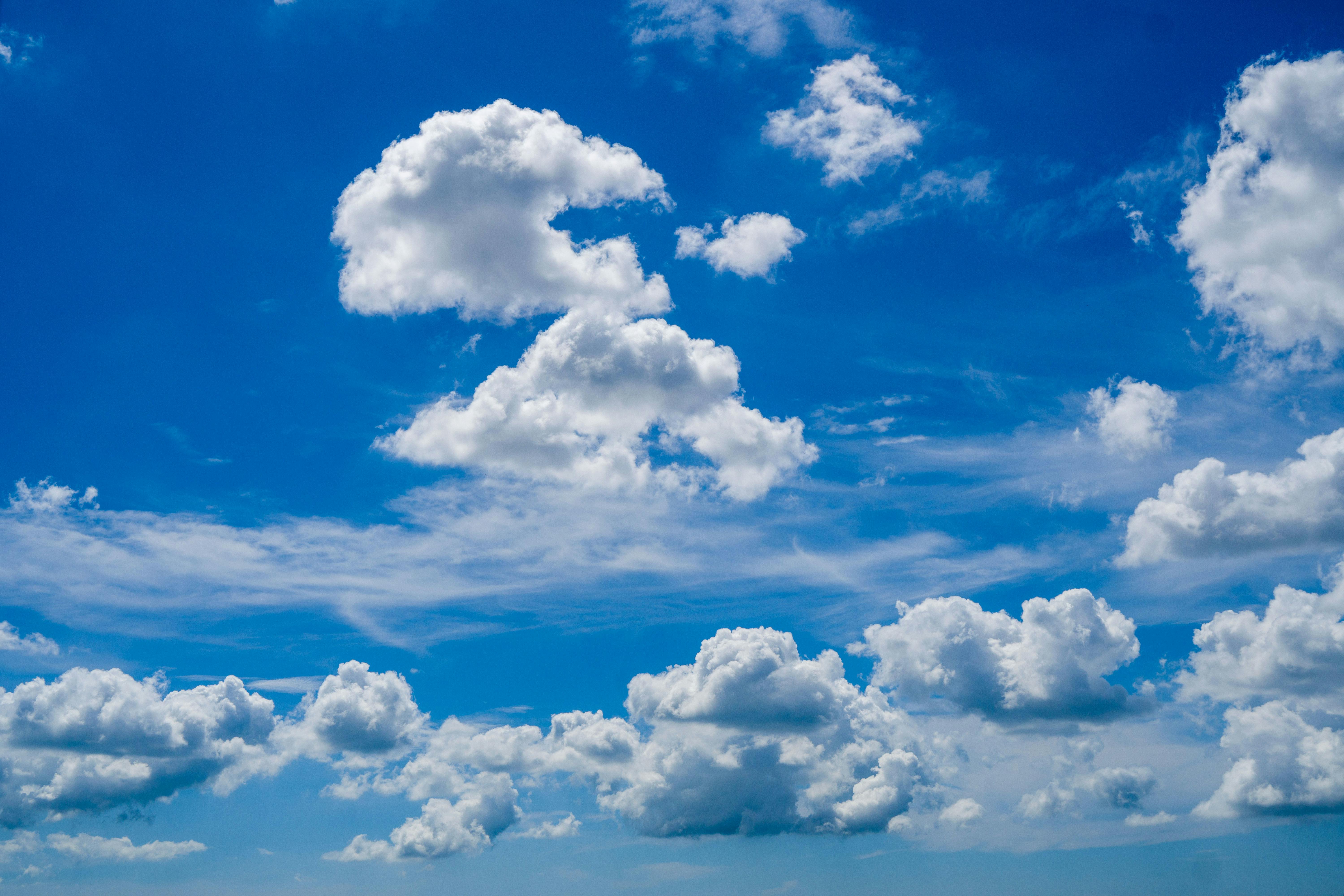 Pokemon Pokopia: Developer Cloud Island Code — Photo by Jhonny Salas Brochero on Pexels