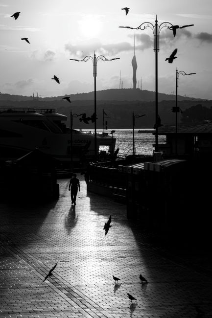 Artistic view of a silhouette walking on a shadowed street by a waterfront, surrounded by birds.