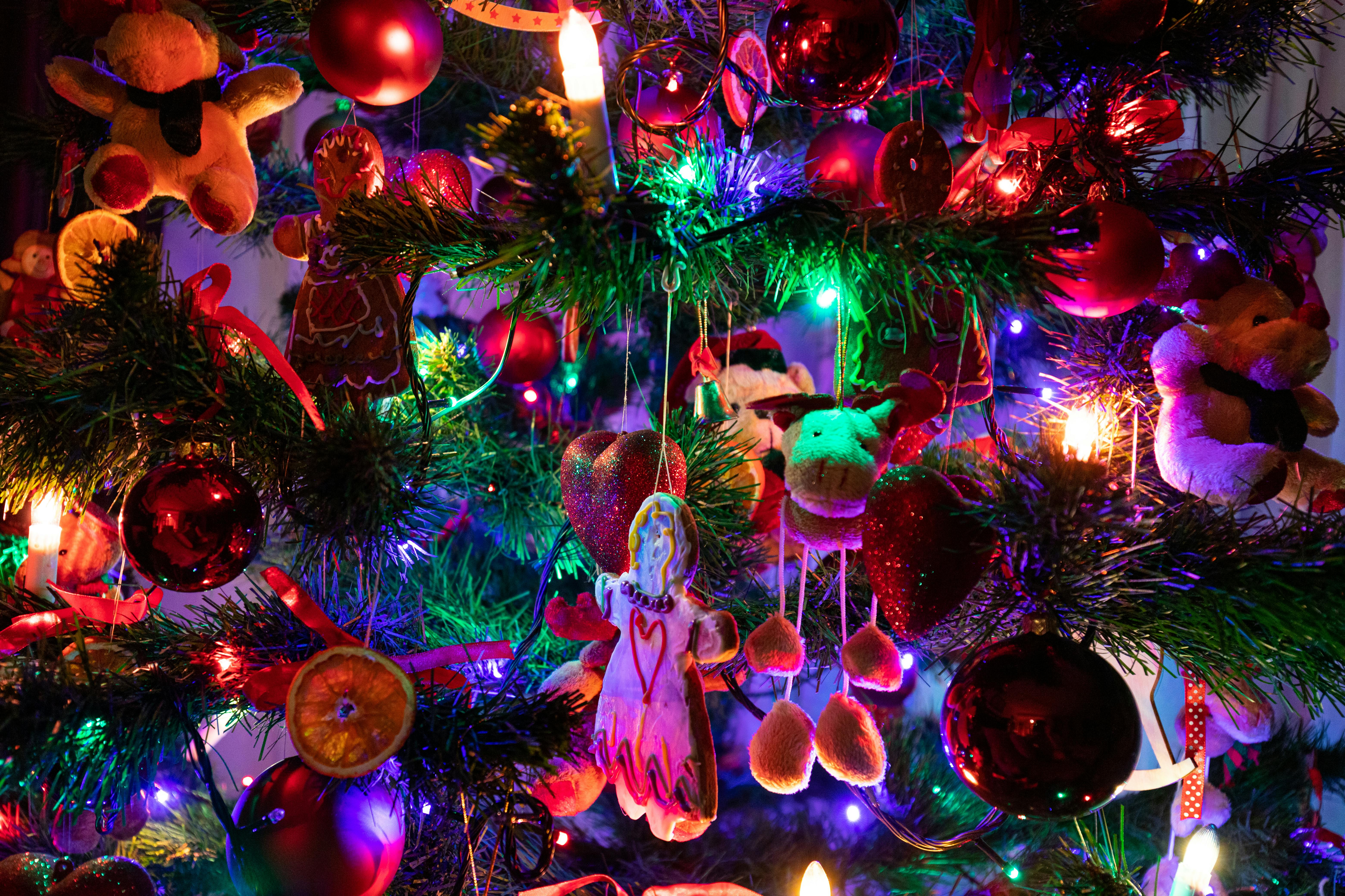 Hobbycraft launches Christmas deals with major savings on kids craft kits — Photo by Mateusz Feliksik on Pexels