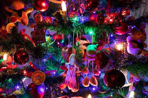Gratis stockfoto met belicht, detailopname, kerstboom