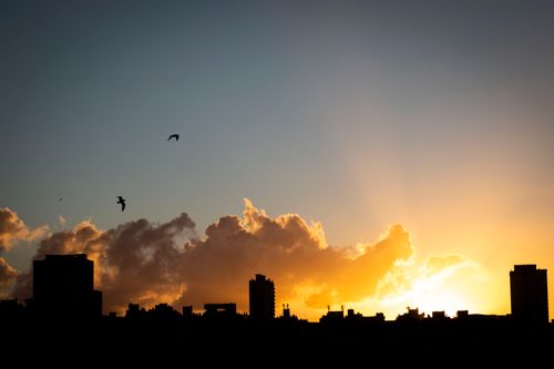 Free Dramatic Mar del Plata skyline silhouette with birds at sunset, capturing a vibrant and serene atmosphere. Stock Photo