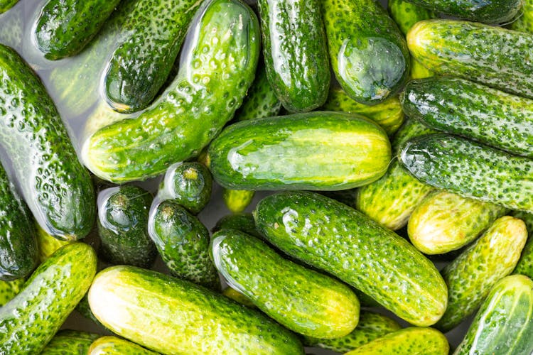 Green Cucumbers On Water