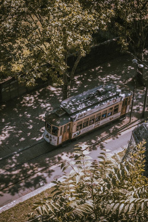 Tram on the Street Near Green Trees