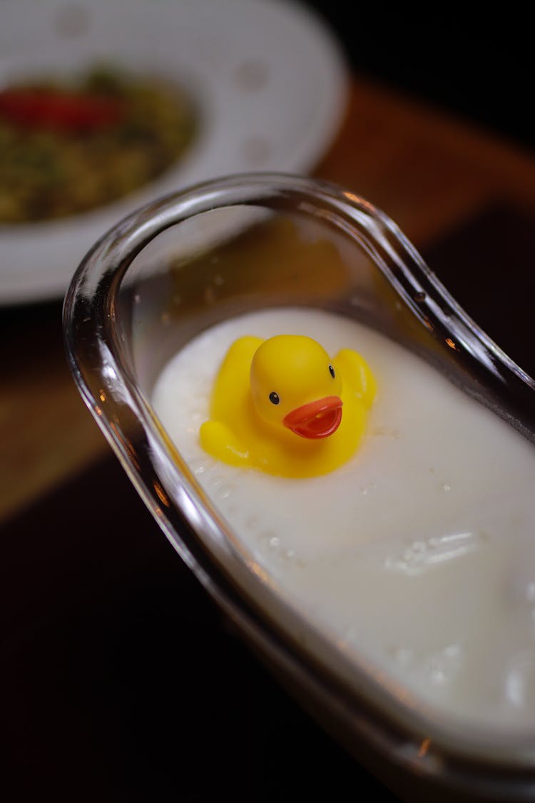 Rubber Duck In A Sauce Bowl