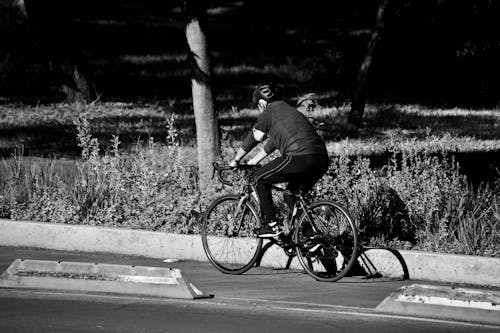 Person Riding a Bicycle on Bike Lane